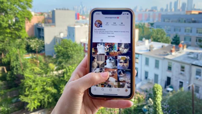 Our Favorite Instagram Viewer Tools